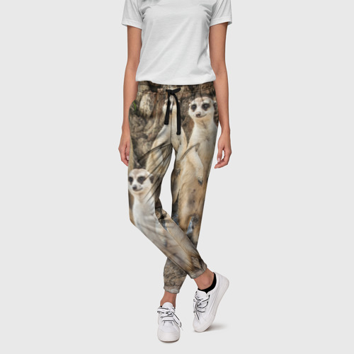 Женские брюки 3D Сурикаты, цвет 3D печать - фото 3
