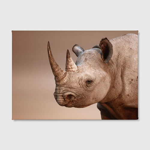 Холст прямоугольный Носорог, цвет 3D печать - фото 2