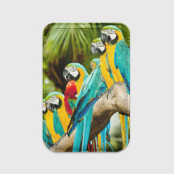 Картхолдер Magsafe магнитный Попугаи на ветке