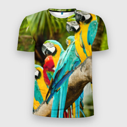 Мужская футболка 3D Slim Попугаи на ветке