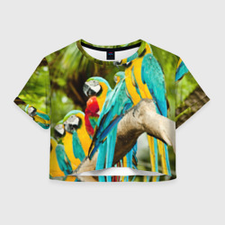 Женская футболка Crop-top 3D Попугаи на ветке