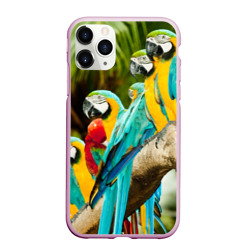 Чехол для iPhone 11 Pro Max матовый Попугаи на ветке
