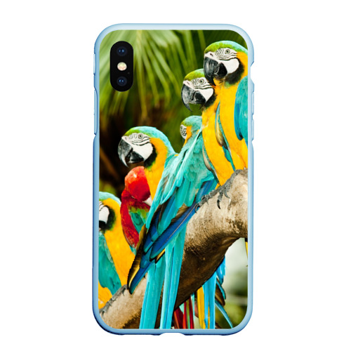 Чехол для iPhone XS Max матовый Попугаи на ветке, цвет голубой
