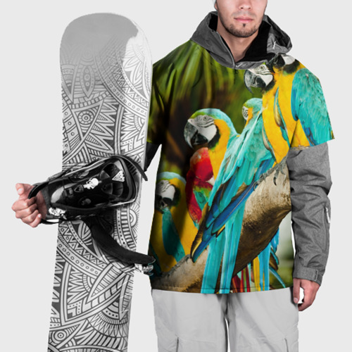 Накидка на куртку 3D Попугаи на ветке, цвет 3D печать