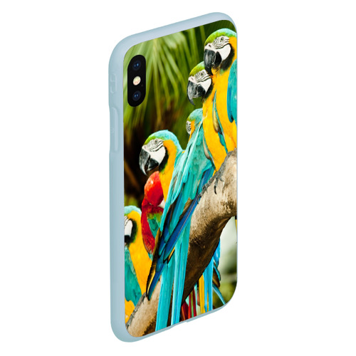 Чехол для iPhone XS Max матовый Попугаи на ветке, цвет голубой - фото 3