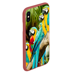 Чехол для iPhone XS Max матовый Попугаи на ветке - фото 2