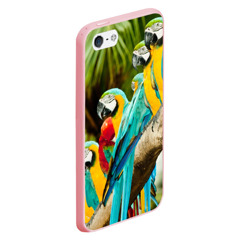 Чехол для iPhone 5/5S матовый Попугаи на ветке, цвет баблгам - фото 3
