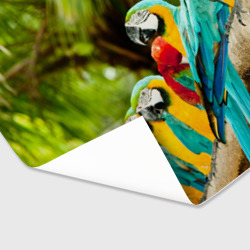 Бумага для упаковки 3D Попугаи на ветке - фото 2