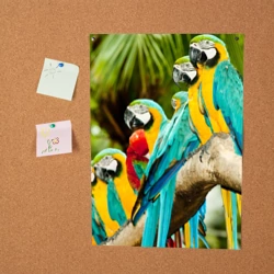 Постер Попугаи на ветке - фото 2
