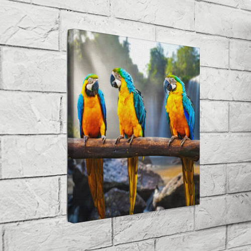Холст квадратный Экзотические попугаи - фото 3