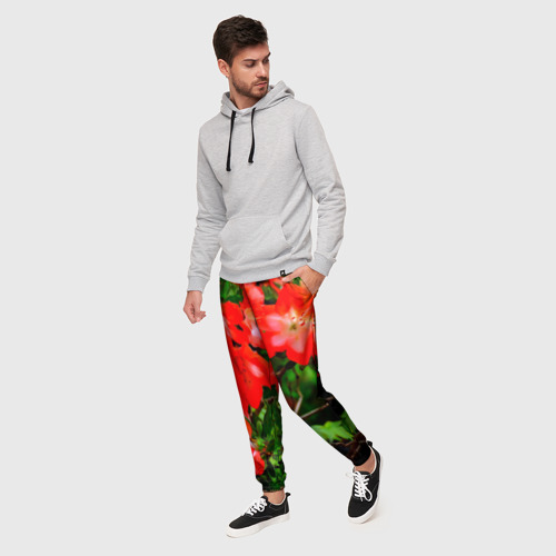 Мужские брюки 3D Азалия, цвет 3D печать - фото 3