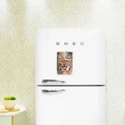 Рысь (retro style)