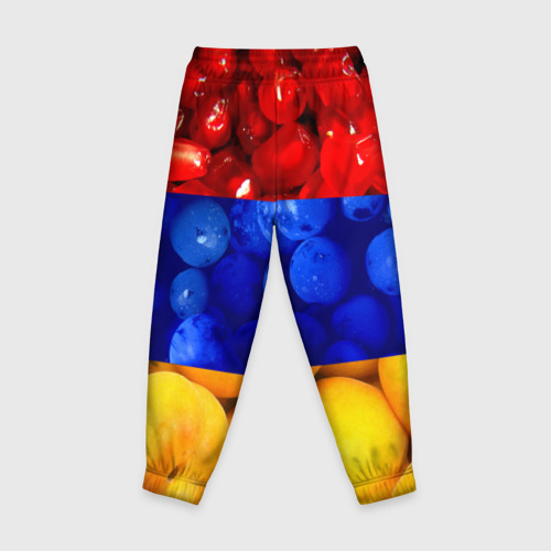 Детские брюки 3D Флаг Армении, цвет 3D печать - фото 2