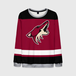 Мужской свитшот 3D Arizona Coyotes