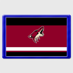 Магнит 45*70 Arizona Coyotes