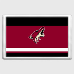 Магнит 45*70 Arizona Coyotes