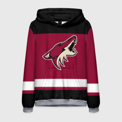 Мужская толстовка 3D Arizona Coyotes