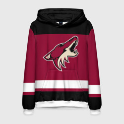 Мужская толстовка 3D Arizona Coyotes