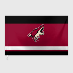 Флаг 3D Arizona Coyotes