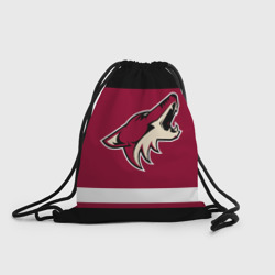 Рюкзак-мешок 3D Arizona Coyotes