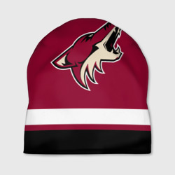 Шапка 3D Arizona Coyotes