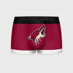 Мужские трусы 3D Arizona Coyotes