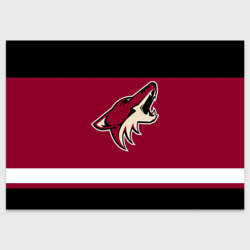 Поздравительная открытка Arizona Coyotes