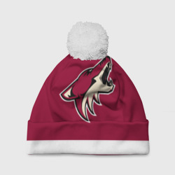 Шапка 3D c помпоном Arizona Coyotes