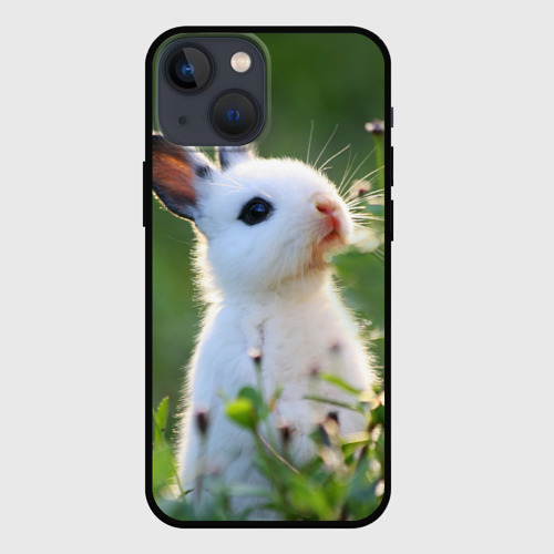 Чехол для iPhone 13 mini Кролик