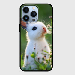 Чехол для iPhone 13 Pro Кролик