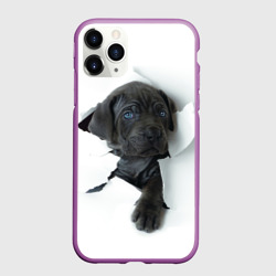 Чехол для iPhone 11 Pro матовый Кане-корсо щенок