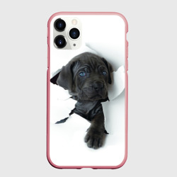 Чехол для iPhone 11 Pro Max матовый Кане-корсо щенок