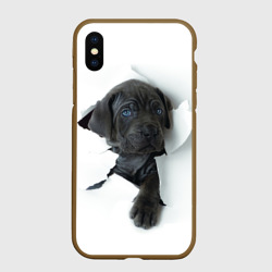 Чехол для iPhone XS Max матовый Кане-корсо щенок