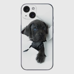 Чехол для iPhone 15 силиконовый с защитой камеры Кане-корсо щенок