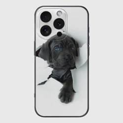 Чехол для iPhone 16 Pro Max силиконовый с защитой камеры Кане-корсо щенок