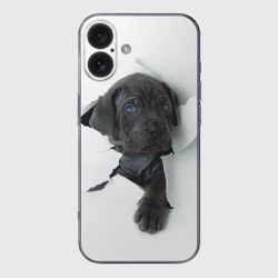 Чехол для iPhone 16 силиконовый с защитой камеры Кане-корсо щенок