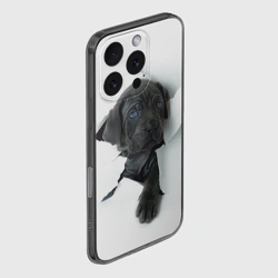 Чехол для iPhone 16 Pro Max силиконовый с защитой камеры Кане-корсо щенок - фото 2