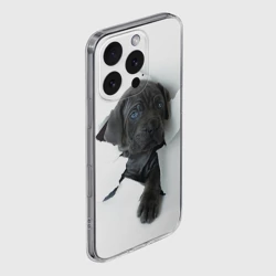 Чехол для iPhone 16 Pro силиконовый с защитой камеры Кане-корсо щенок - фото 2