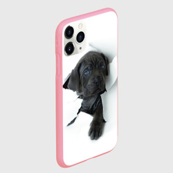 Чехол для iPhone 11 Pro Max матовый Кане-корсо щенок - фото 2