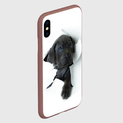 Чехол для iPhone XS Max матовый Кане-корсо щенок - фото 2