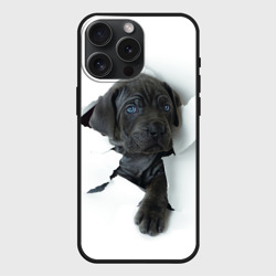 Чехол силиконовый для Apple iPhone 15 Pro Мax матовый Кане-корсо щенок