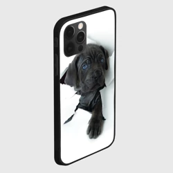 Чехол для iPhone 12 Pro Кане-корсо щенок - фото 2