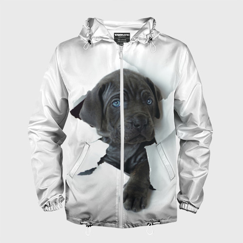 Футболка доги. Доберман поводырь. Мужская футболка 3d дог xl. Немецкий дог с хозяином. Дог доги мужские.