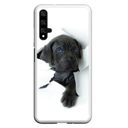 Чехол для Honor 20 Кане-корсо щенок
