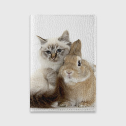 Обложка для паспорта Кот и кролик