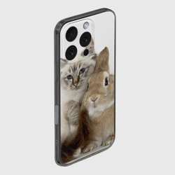 Чехол для iPhone 16 Pro Max силиконовый с защитой камеры Кот и кролик обнимаются - фото 2