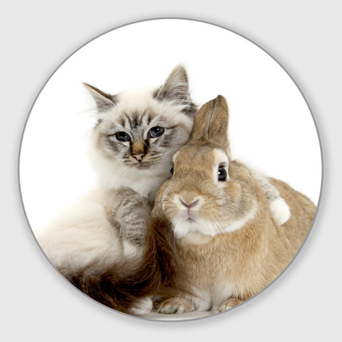 Круглый коврик для мышки с принтом Кот и кролик обнимаются, вид спереди №1