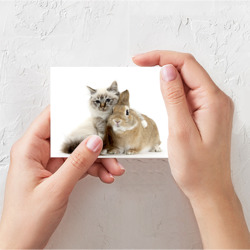 Поздравительная открытка Кот и кролик пушистые - фото 2