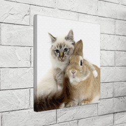 Холст квадратный Кот и кролик пушистики - фото 2