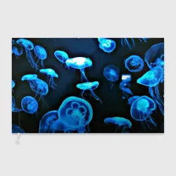 Флаг 3D Meduse